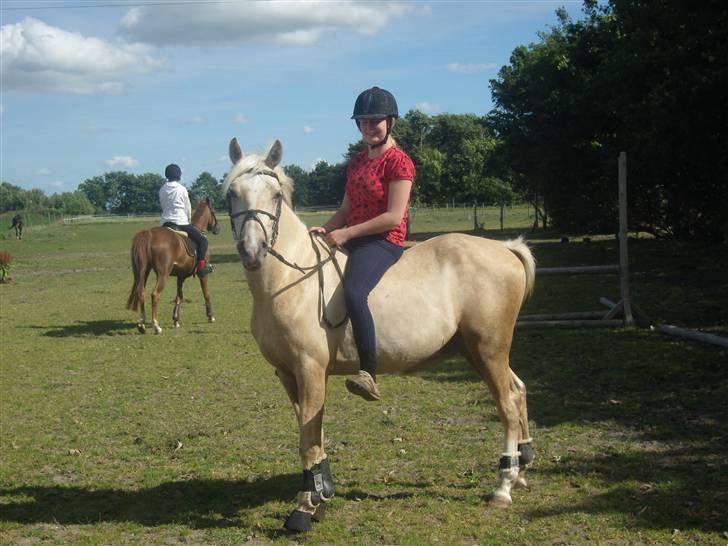 Anden særlig race golden hero SOLGT :'( <3  - <3 billede 12