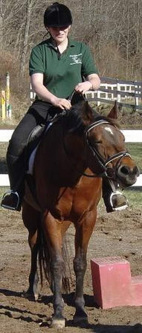 Anden særlig race April *Min fedtemås* billede 2