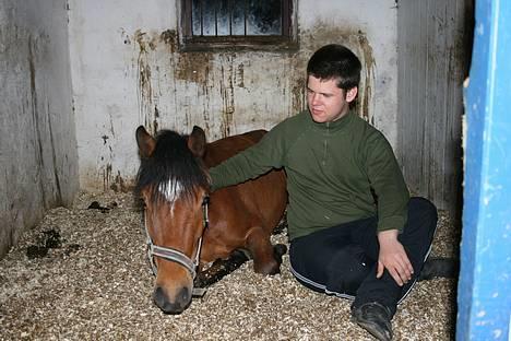 New Forest Flintedales Extreme - Min storebror og Ex.  billede 11