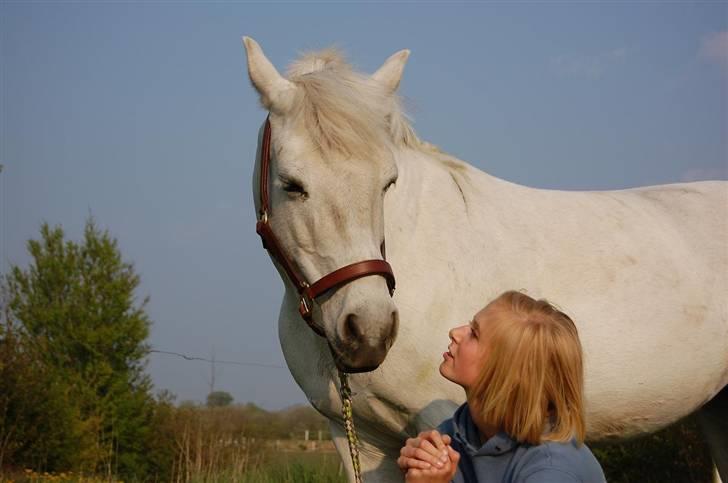 Connemara Birkely Claire - Velkommen til Claires Profil <3 J e g  E l s k e r  C l a i r e. billede 1