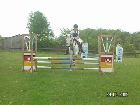 Connemara Birkely Claire - LC i RYR billede 3