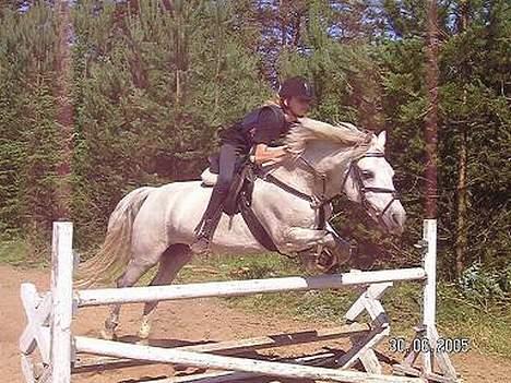 Connemara Birkely Claire - Springtræning 2005 billede 5