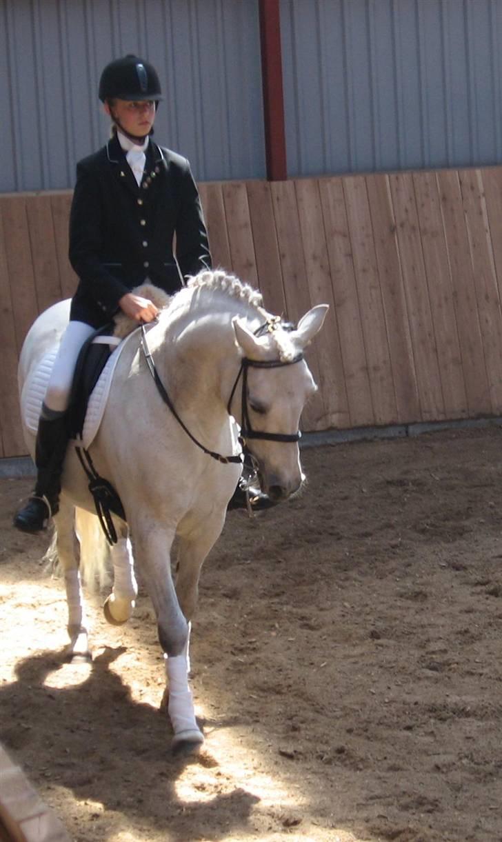 Connemara Birkely Claire - Mig & Claire <3 stævne i gjern. Lb1 (: billede 9