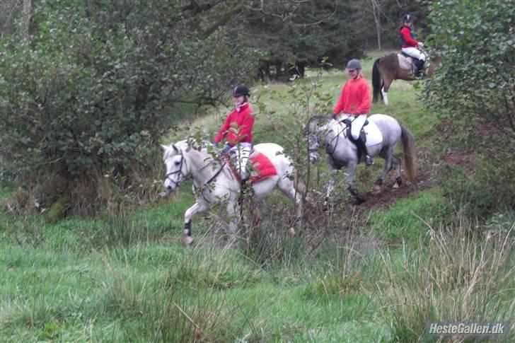 Connemara Birkely Claire - Mig & Claire rider over åen - jagt i gjern 20/10 - 07 billede 14