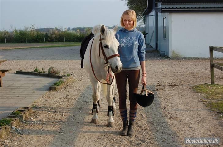 Connemara Birkely Claire - smukkepony<3 billede 15