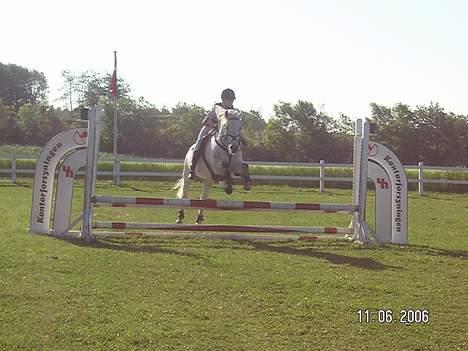 Connemara Birkely Claire - også en LD på LIND billede 16