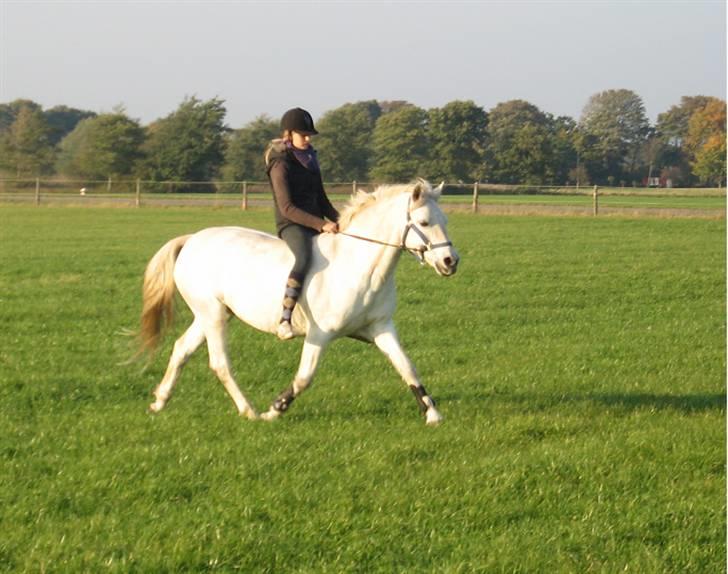 Connemara Birkely Claire - Mig&Claire, rider i grime (: billede 18