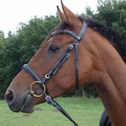 Anden særlig race Valari