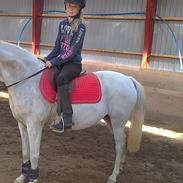 Anden særlig race dyrkærdgårds Haikiki