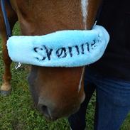 Anden særlig race Kalip:*.. Min bedste Ven<3