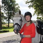 Anden særlig race Faraus The Best