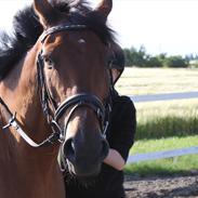 Anden særlig race Diablo. <3