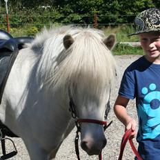 Islænder Skyssa fra Tøndborg