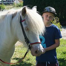 Islænder Skyssa fra Tøndborg