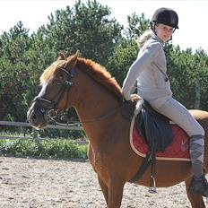 Anden særlig race Kasper (passer) 