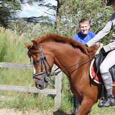 Anden særlig race Kasper (passer) 