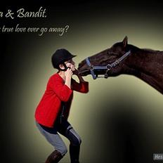 Anden særlig race Bandit<3