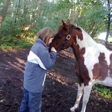 Anden særlig race Surprise