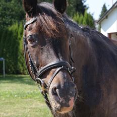 Oldenborg Nicolé <3