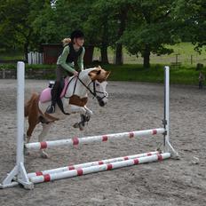 Anden særlig race Rasmus