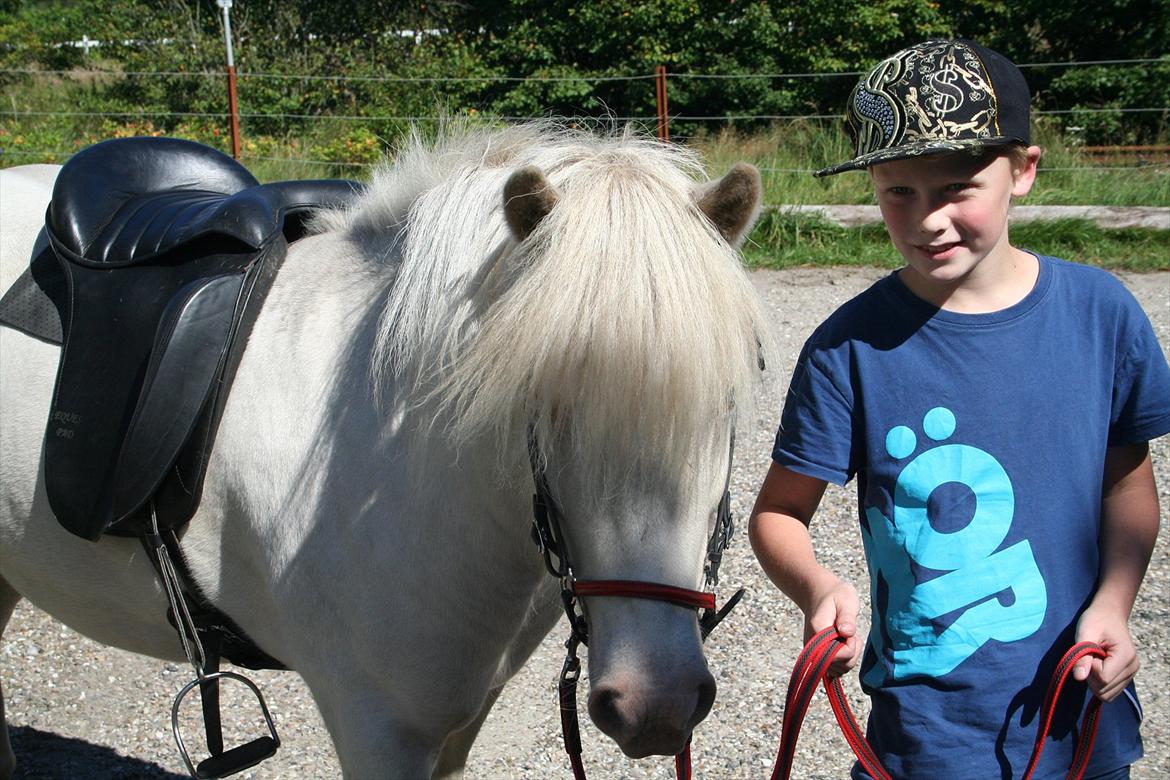 Islænder Skyssa fra Tøndborg billede 2