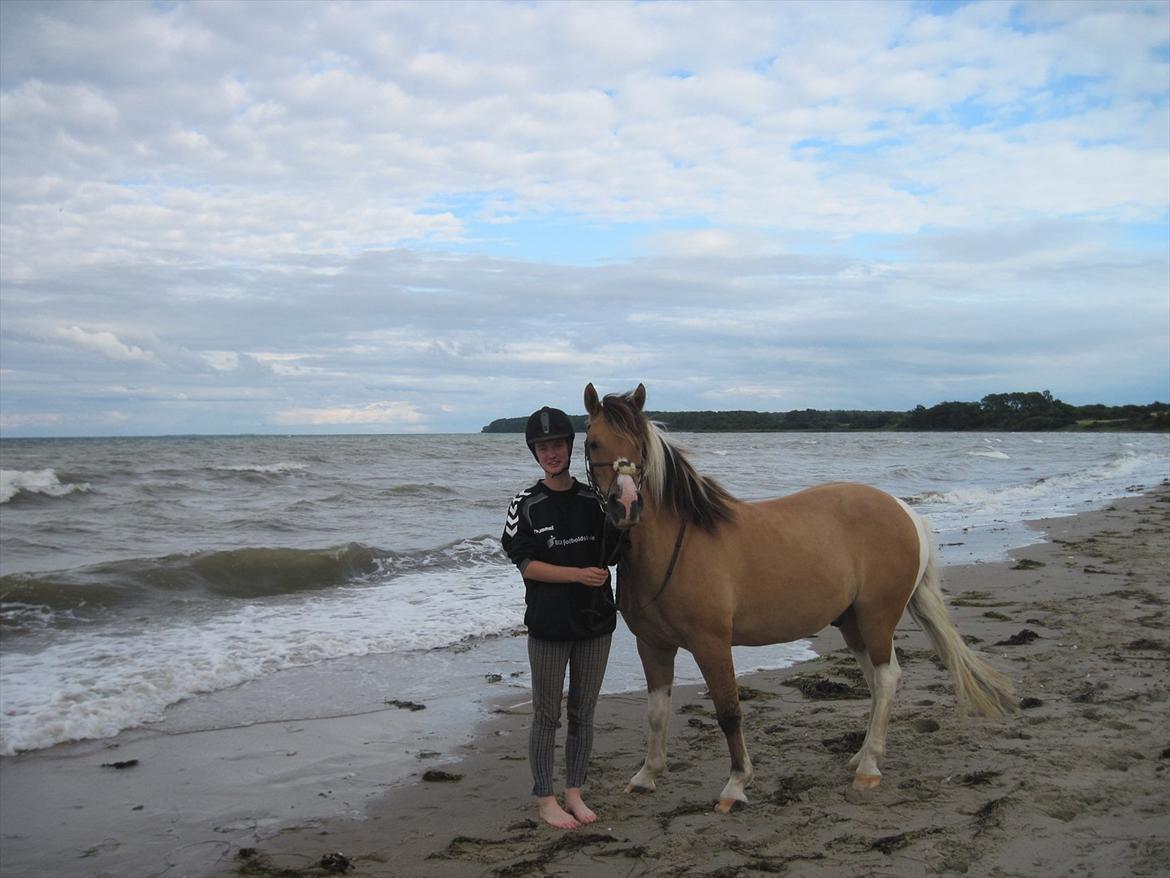 Anden særlig race Charming - Han var simpelthen så sød at have med, han turde godt nok ikke at gå i vandet. Men han tog alt andet så flot!! :) billede 7