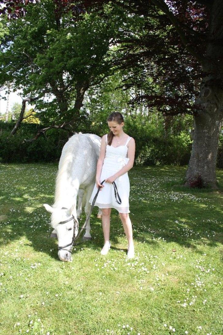 Anden særlig race Josephine billede 4