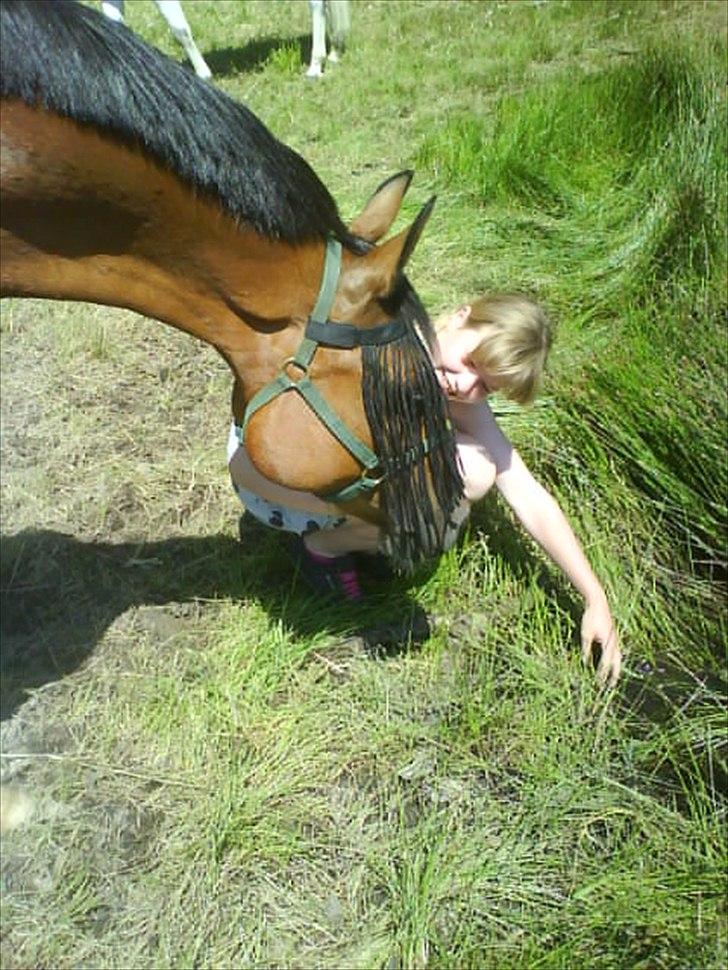Anden særlig race **Flux<3** solgt:´( - skøneee pony!! <3 <3  billede 2