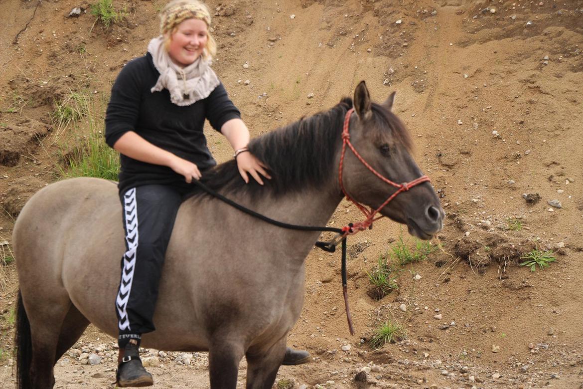 Konik Polski Tora R.I.P My ANGLE! billede 5