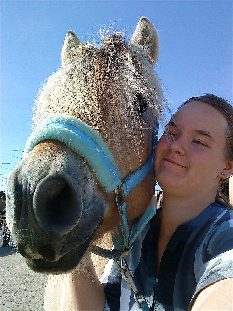 Fjordhest Kvint Frølunde <3 - Du og jeg er skabt for hinanden! Du får mig altid til og smile og jeg kan se på dig at du gør det samme!
Du vil altid være min! <3 billede 20