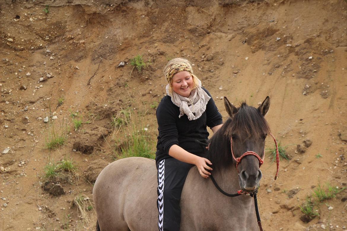 Konik Polski Tora R.I.P My ANGLE! billede 6