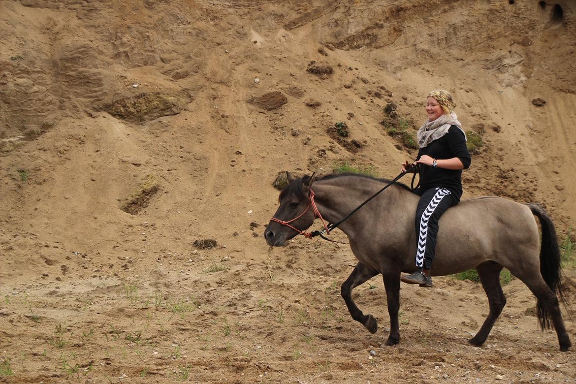 Konik Polski Tora R.I.P My ANGLE! billede 7