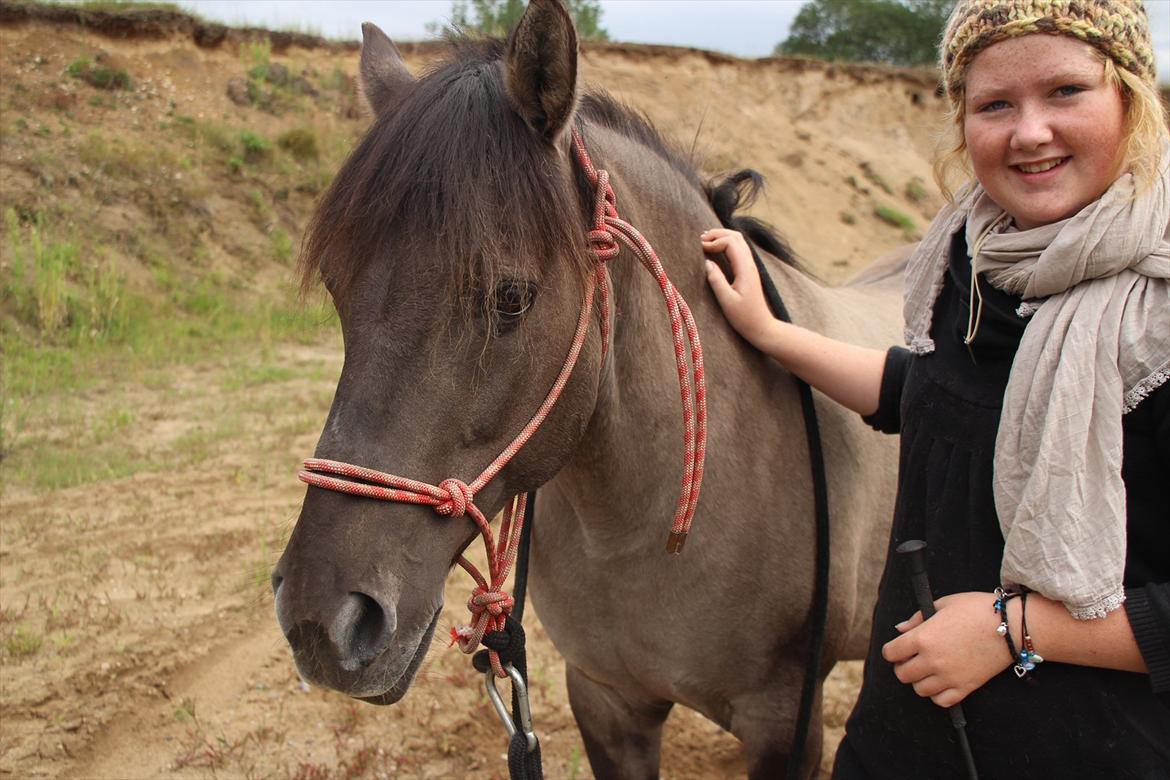 Konik Polski Tora R.I.P My ANGLE! billede 8