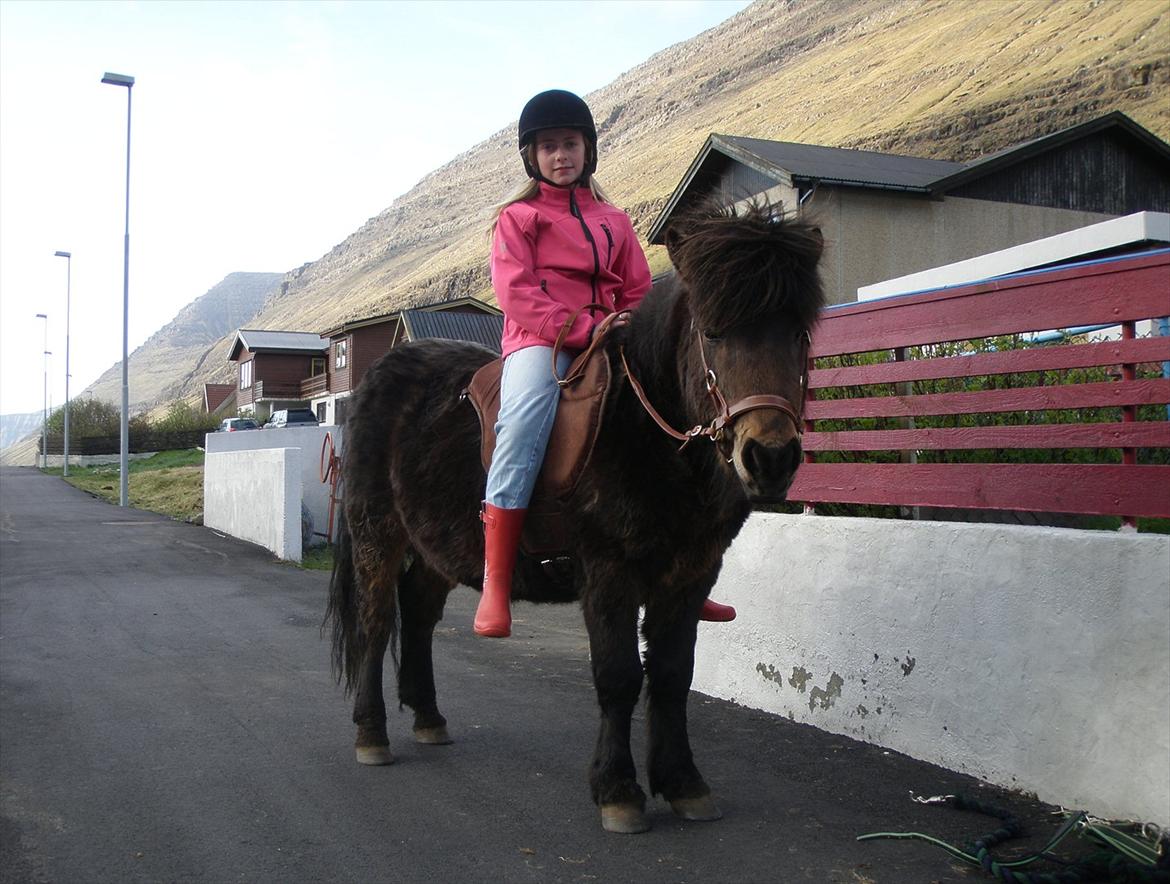 Færøsk hest Líggjas [Haft i pleje] - Tilridning startet (: | April 2011 billede 9
