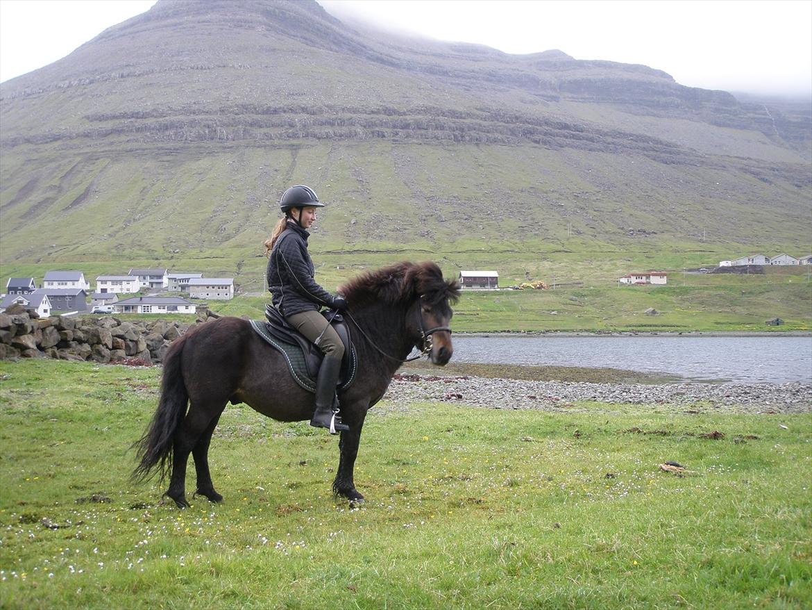 Færøsk hest Líggjas [Haft i pleje] - Har desværre ikke så mange ridebilleder (mangler en fotograf!!!) | Juny 2011 billede 13