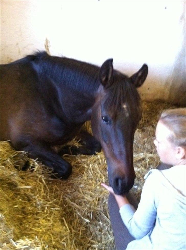 DSP Lille Asserholt Nickelodeon - Mig og Nickelodeon en morgen :-) billede 8