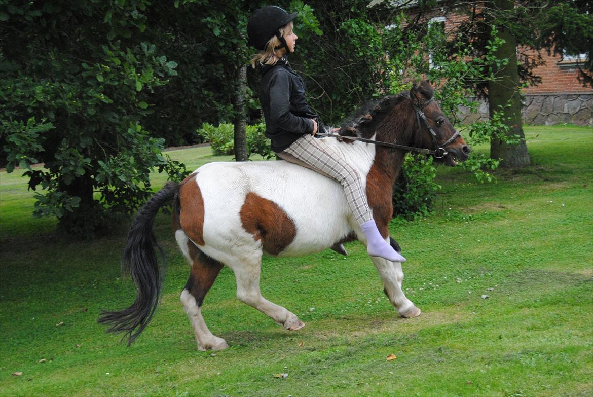 Anden særlig race Bubber R.i.P :'( billede 1