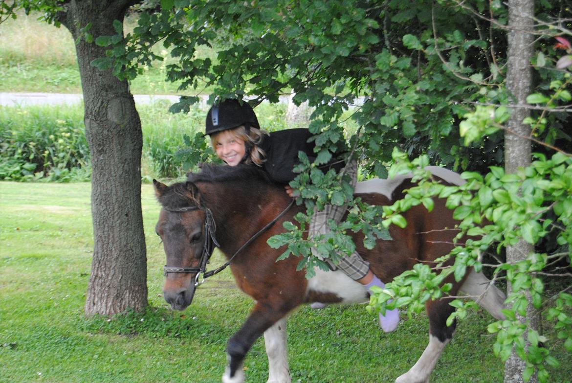 Anden særlig race Bubber R.i.P :'( billede 2