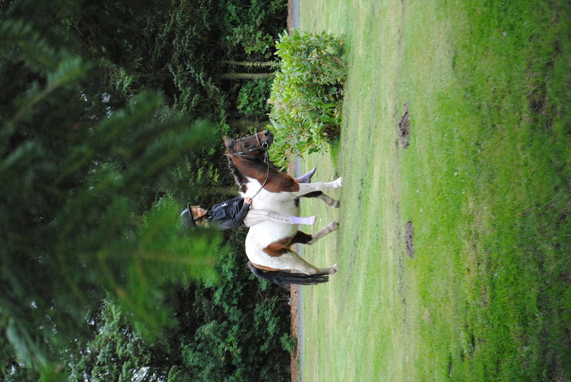 Anden særlig race Bubber R.i.P :'( billede 14