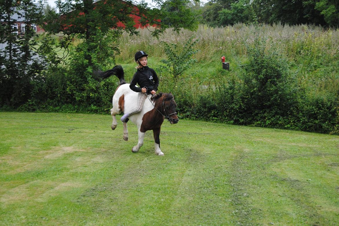 Anden særlig race Bubber R.i.P :'( billede 15