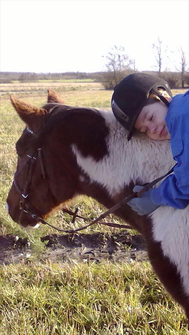 Anden særlig race Surprise billede 8