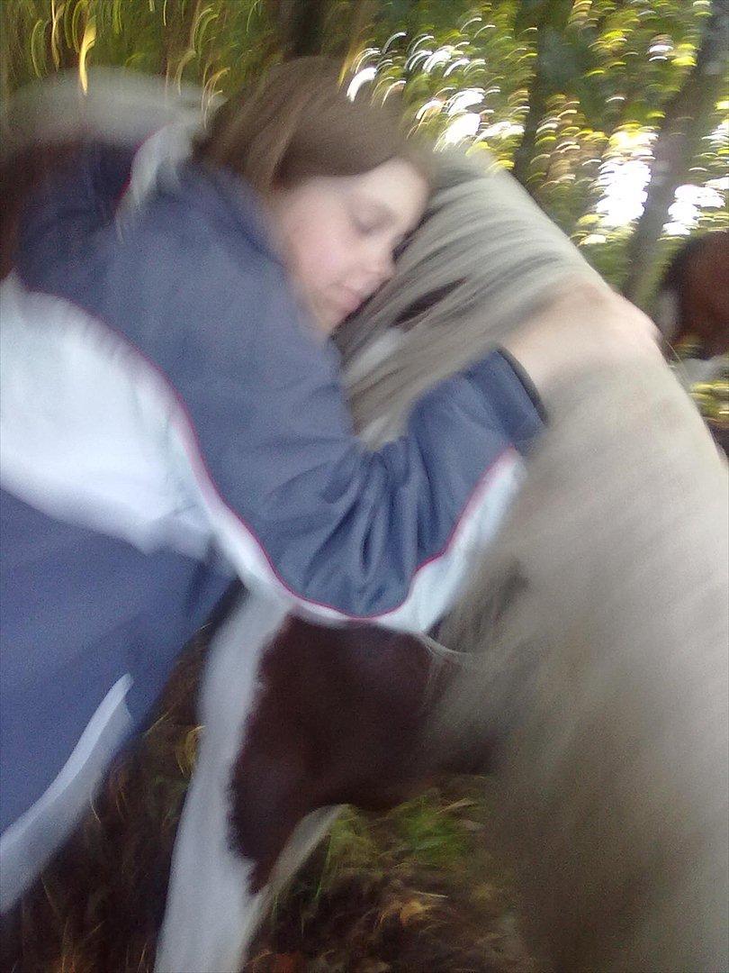 Anden særlig race Surprise billede 9