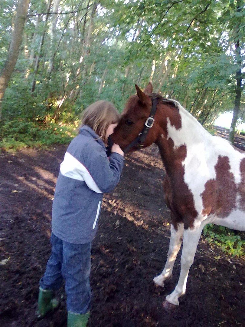 Anden særlig race Surprise billede 1