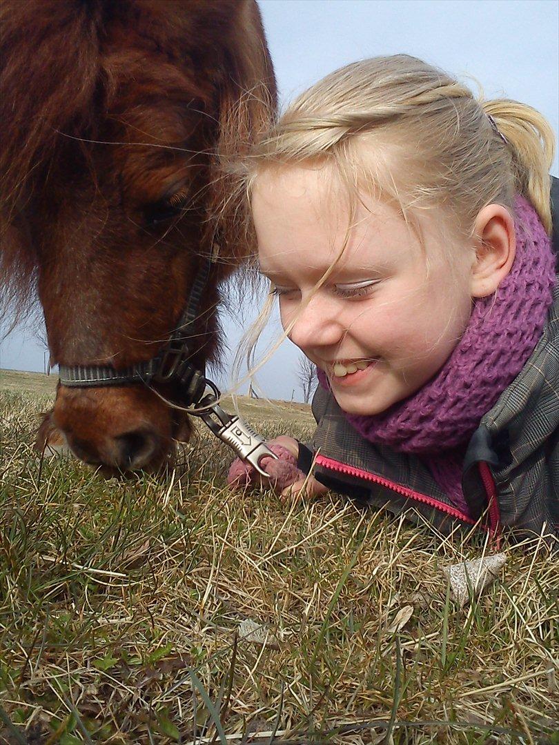 Miniature Mini billede 6