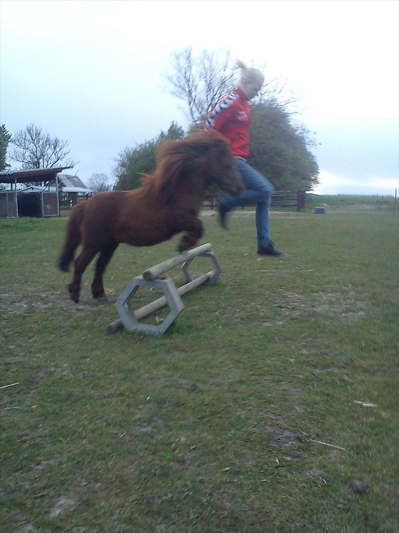 Miniature Mini billede 7