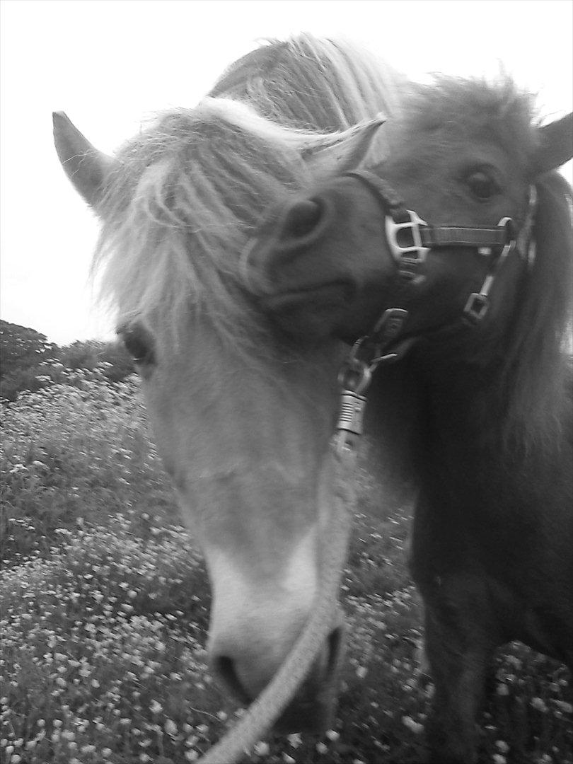 Miniature Mini billede 10