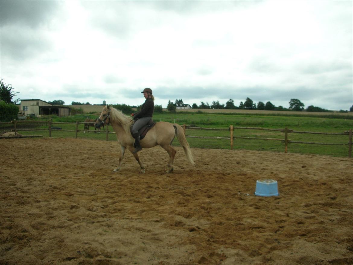 Anden særlig race spencer billede 9