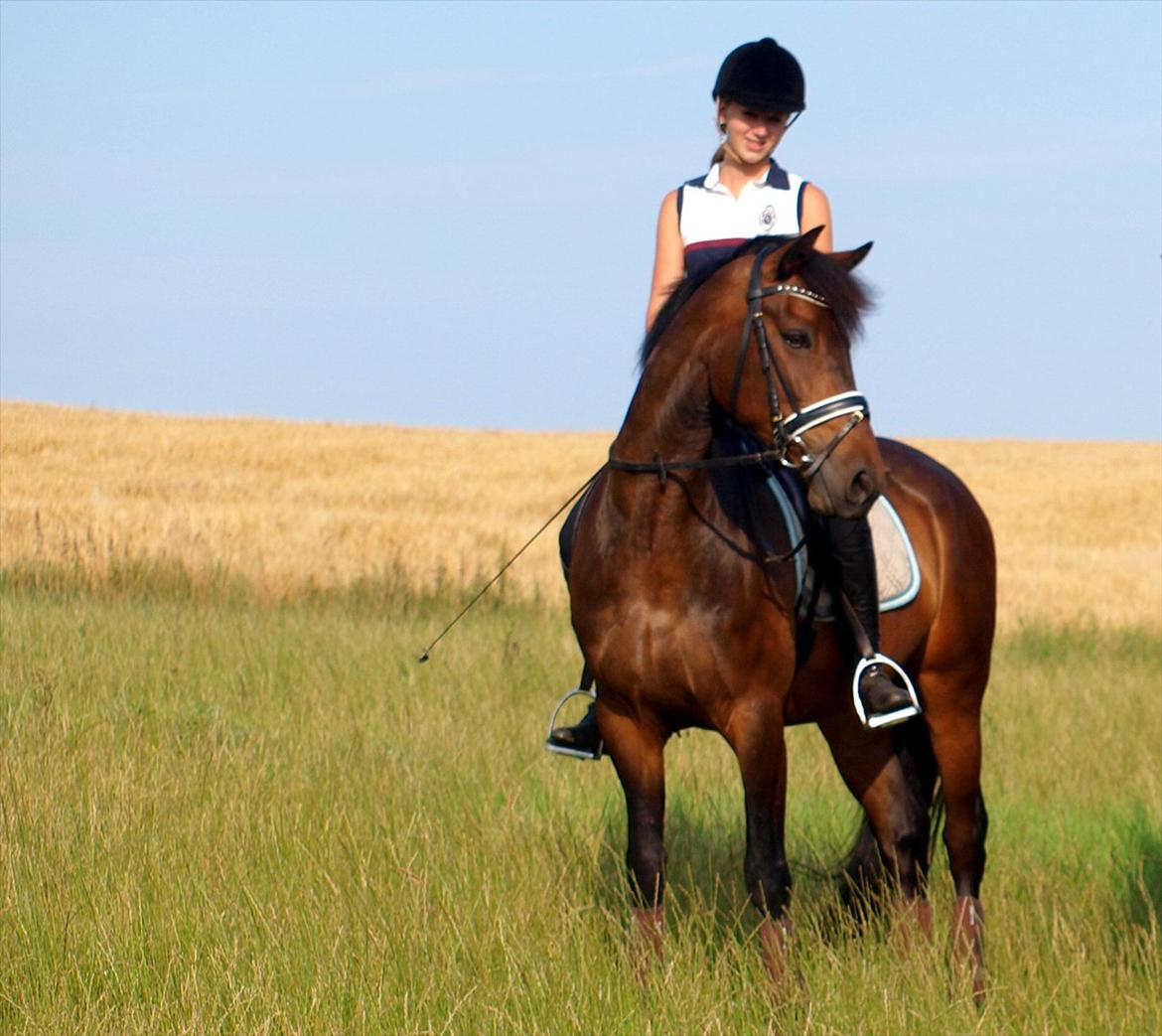 Connemara Nygårds Felix (B-pony) - Sommer 2011 billede 15