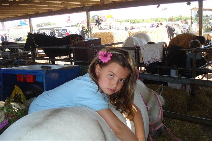 Welsh Mountain (sec A) Belisa<3 (R.I.P) - Dyreskue!
Man kan vist bedst se mig, men et billede der viser at hun finder sig i alt! :) billede 8