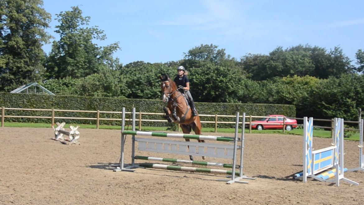 Belgisk varmblod Frutrillo - fra da jeg var ovre og prøve ham!<3 (undskyld kvalitet, men er taget ud af video).. ;-) billede 15